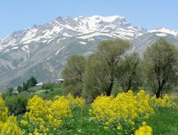 Yüksekova'da 4 mevsim bir arada 